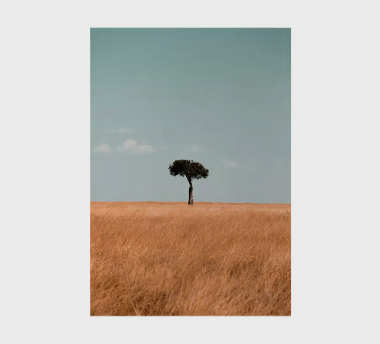 Savannah notebook by EyeEm Mobile GmbH
