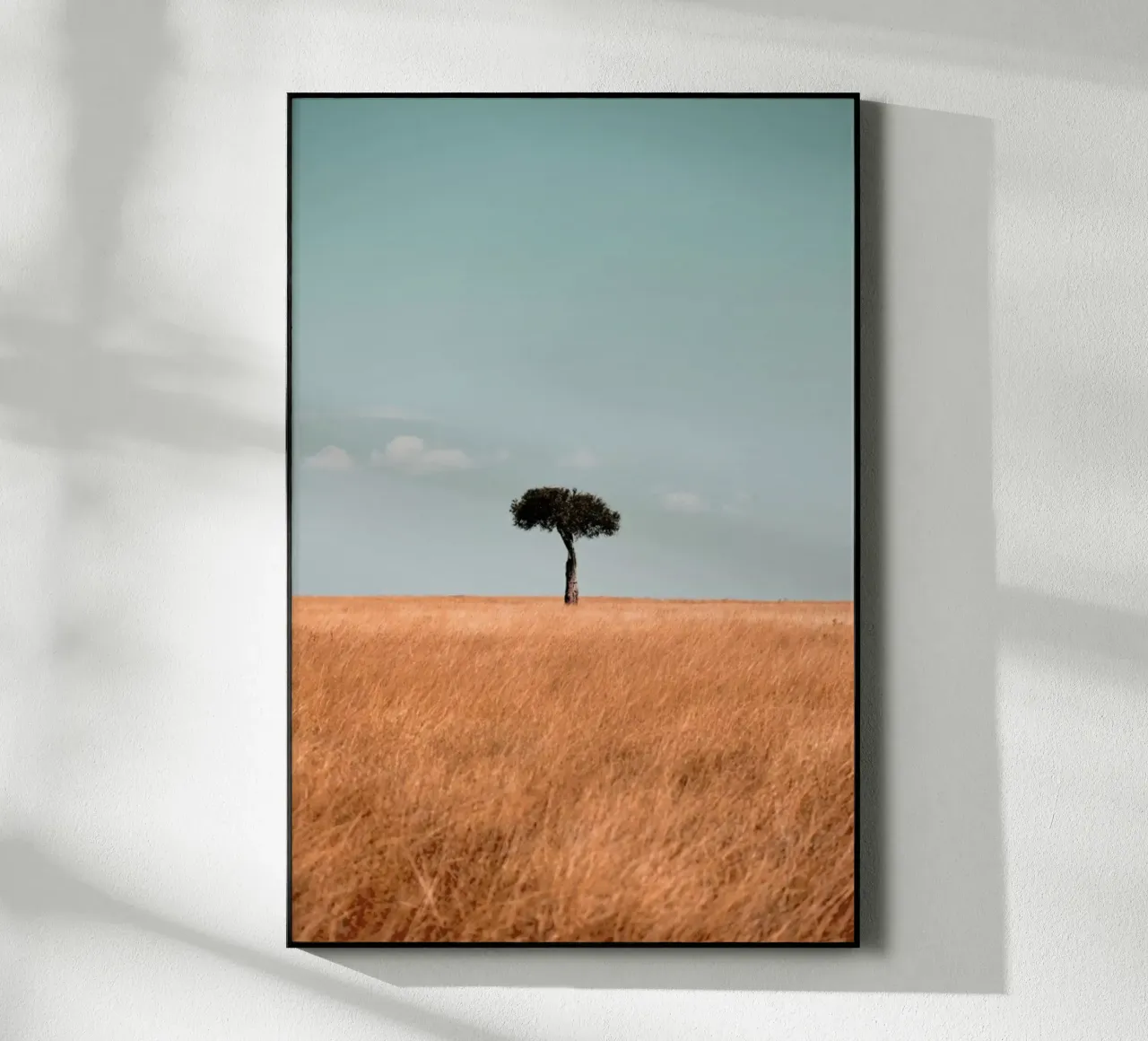 Savannah plexiglass da EyeEm Mobile GmbH