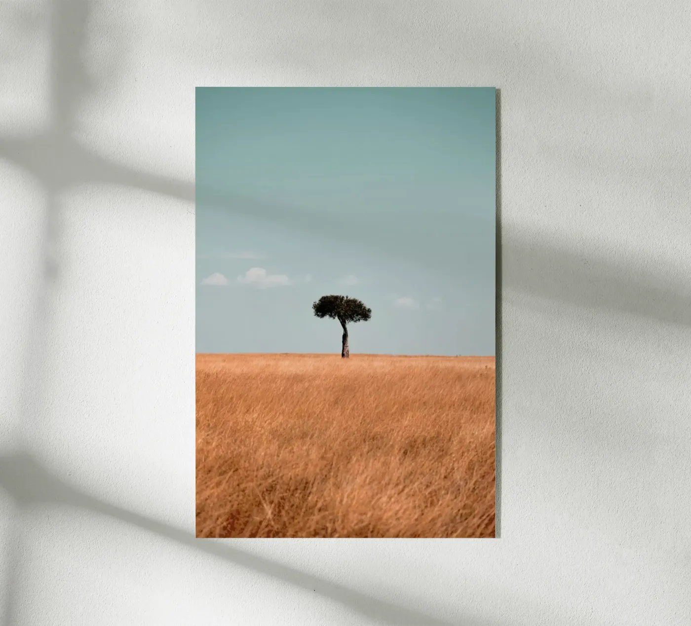 Savannah Acryl-Glas von EyeEm Mobile GmbH