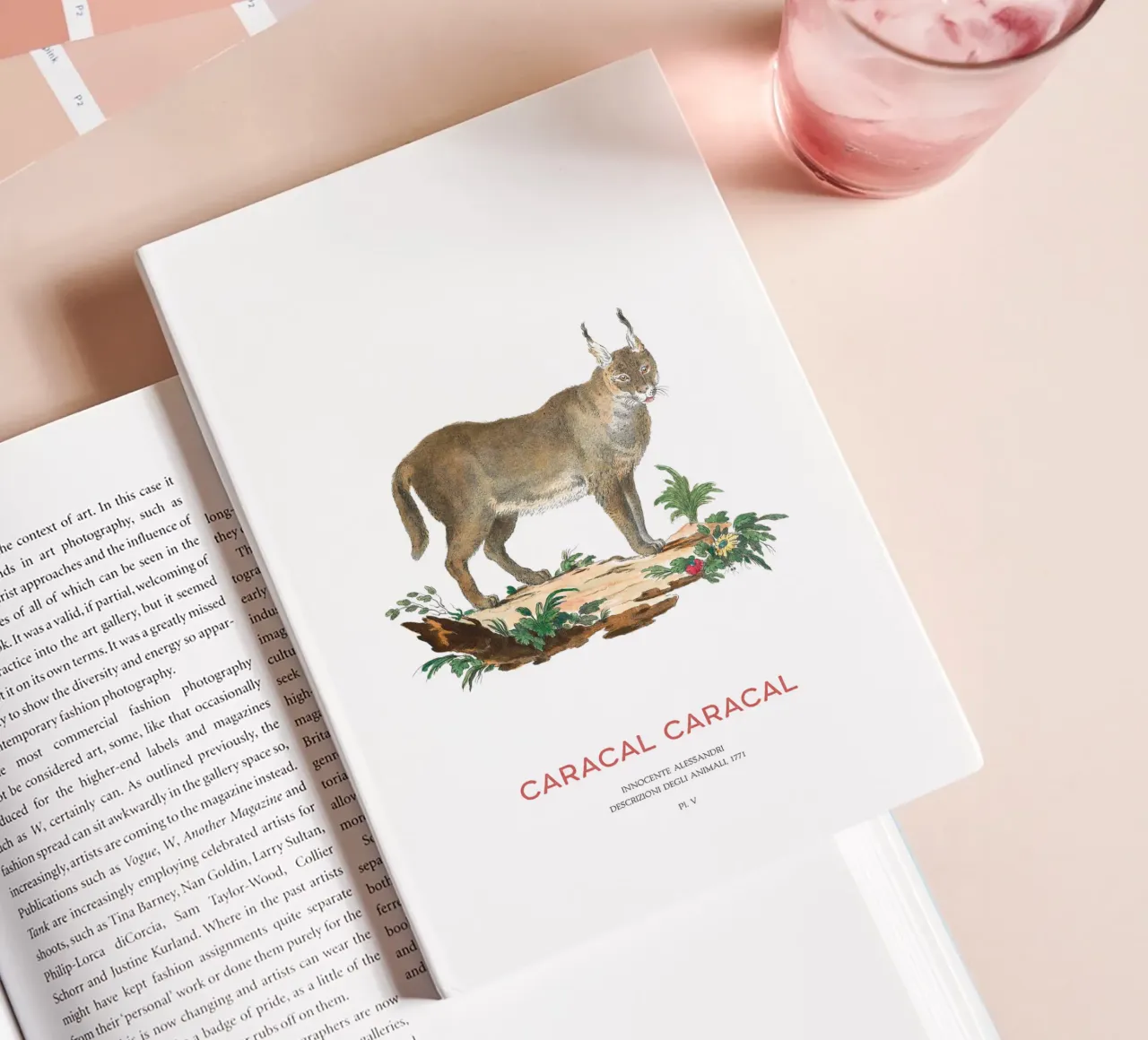 Vintage Caracal Illustration Scientific Wildlife Art notebook by Vintagrafica