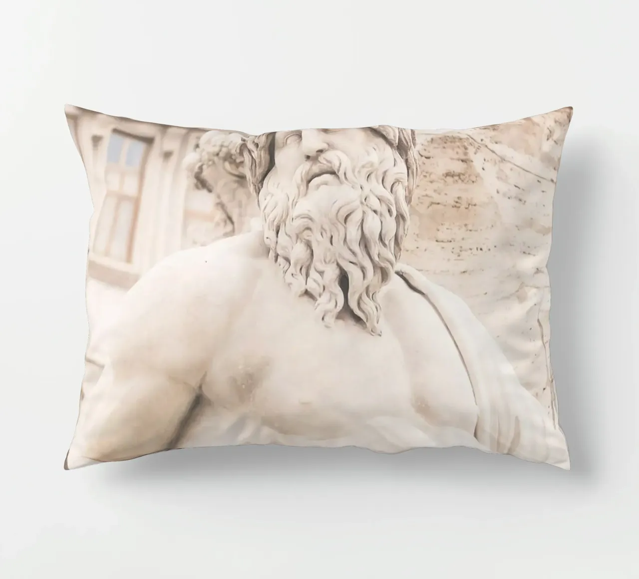 Roma, Italia I Gabbiano appollaiato su una statua antica e retrò cuscino da Julie Travel Photography