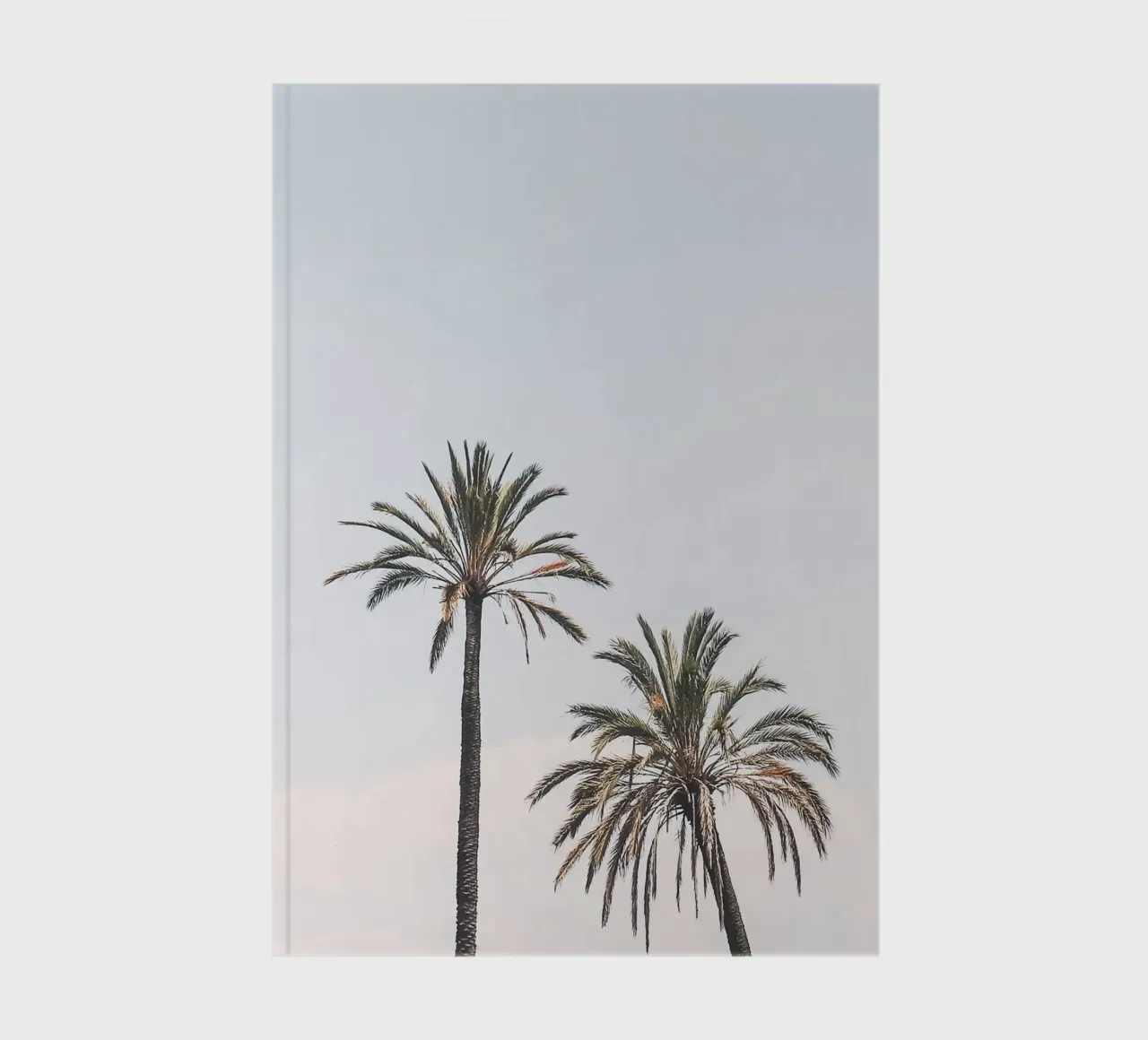 Rome, Italy I Two palm trees against a pastel blue summer sky notebook by Julie Travel Photography