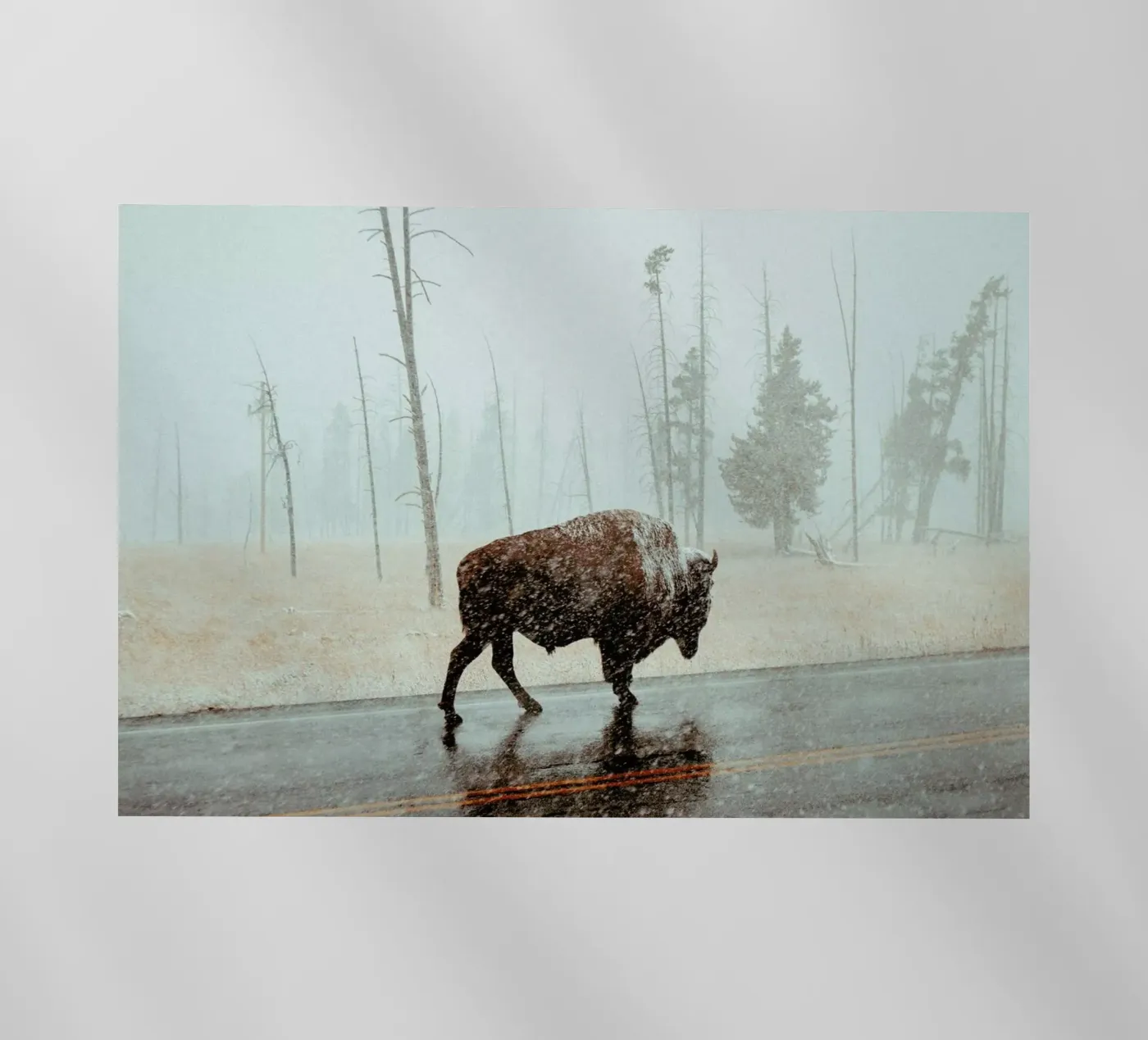 Determination pellicola backlit da EyeEm Mobile GmbH