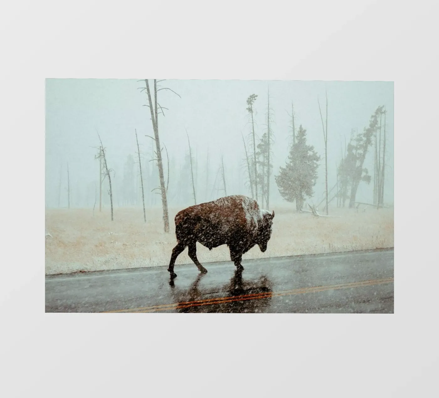 Determination pellicola backlit da EyeEm Mobile GmbH