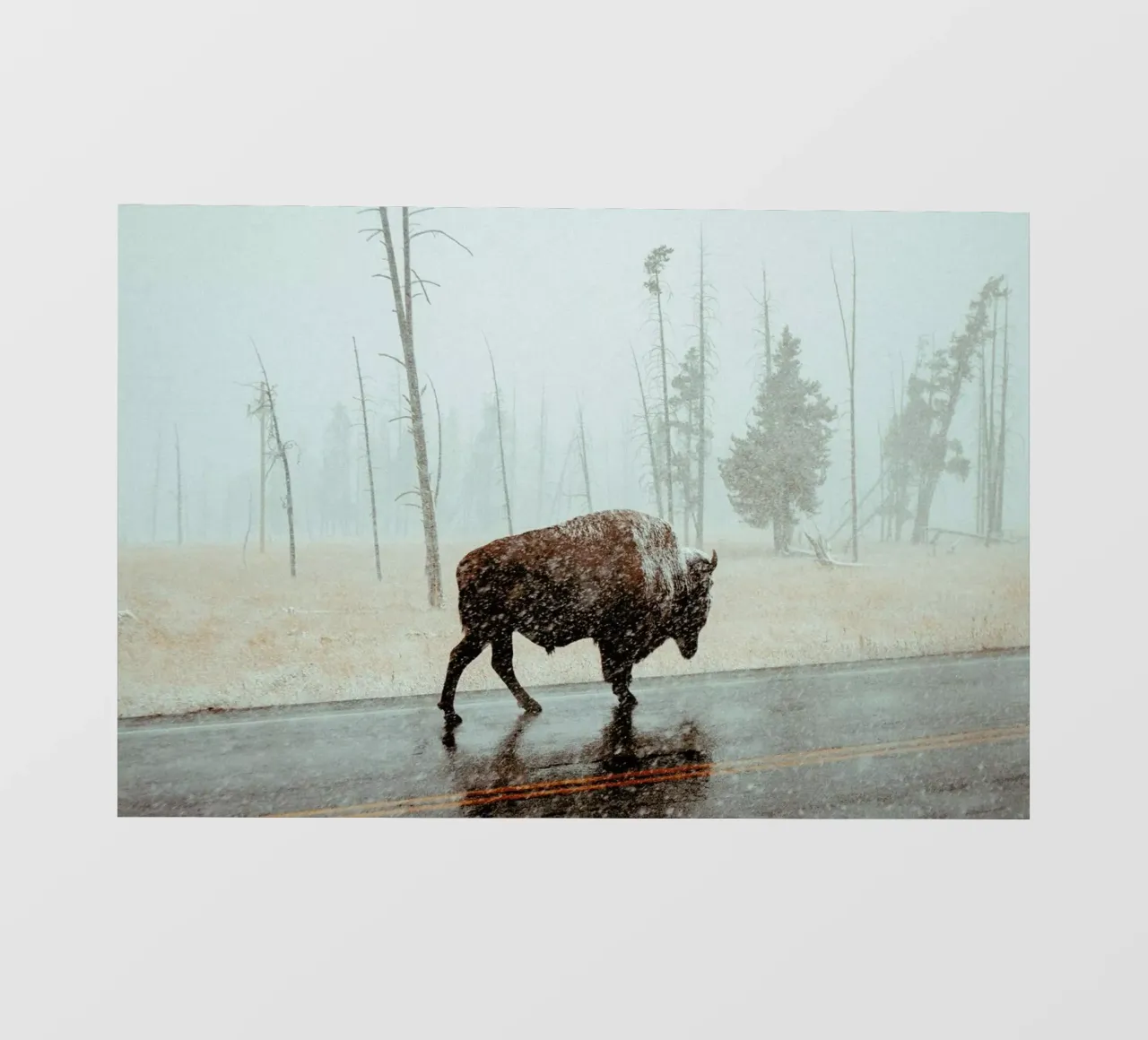 Determination pellicola backlit da EyeEm Mobile GmbH