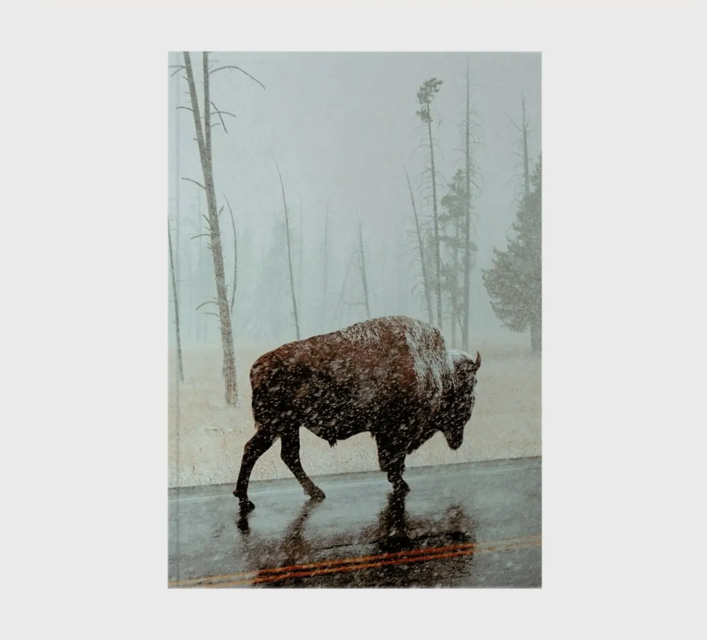 Determination notebook by EyeEm Mobile GmbH