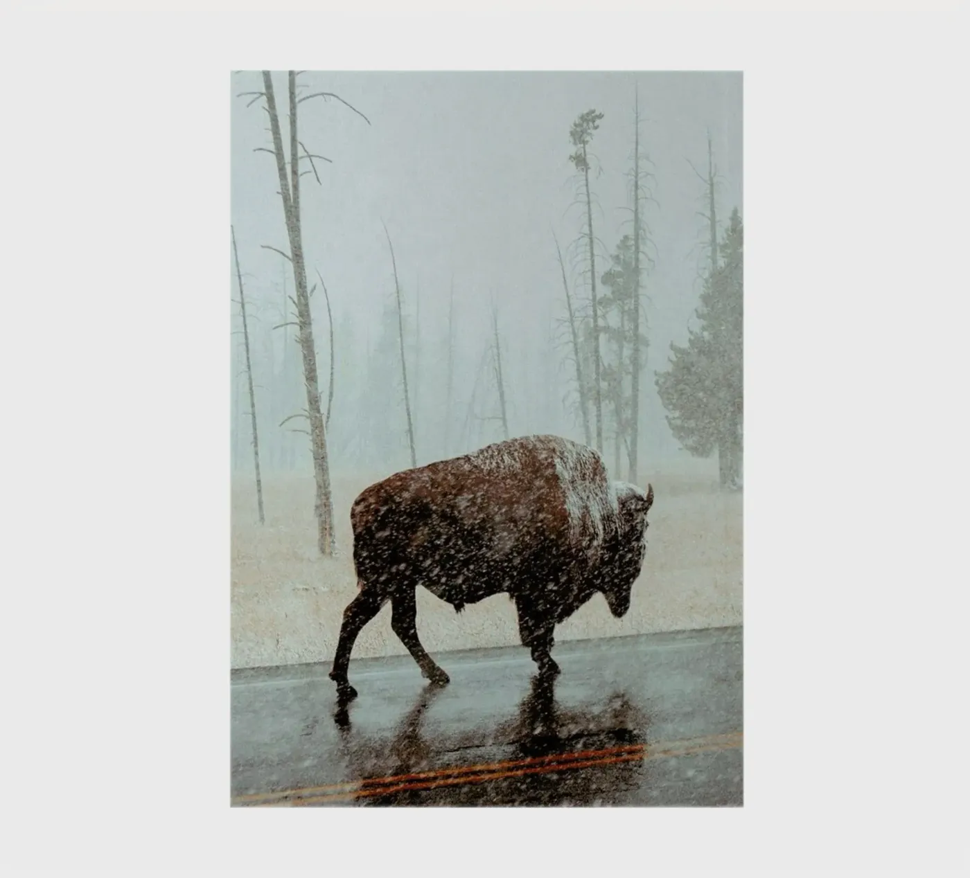 Determination notebook by EyeEm Mobile GmbH