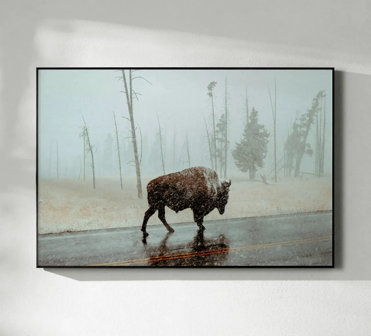 Determination plexiglass da EyeEm Mobile GmbH