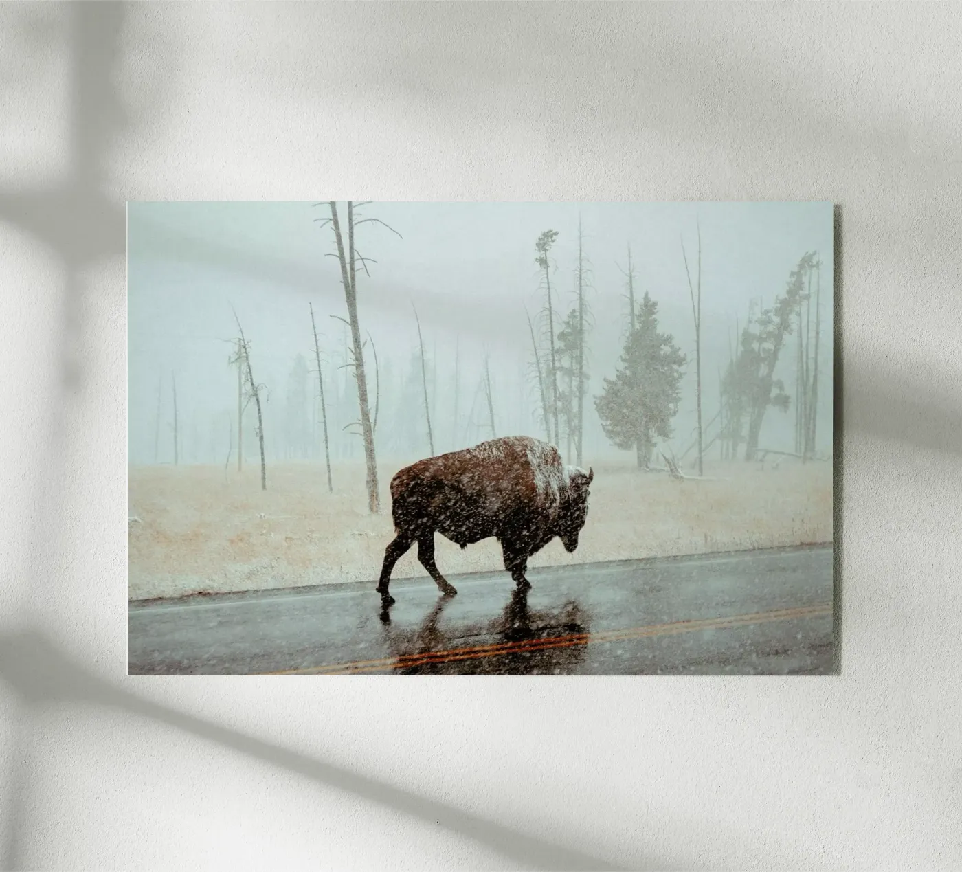 Determination plexiglass da EyeEm Mobile GmbH