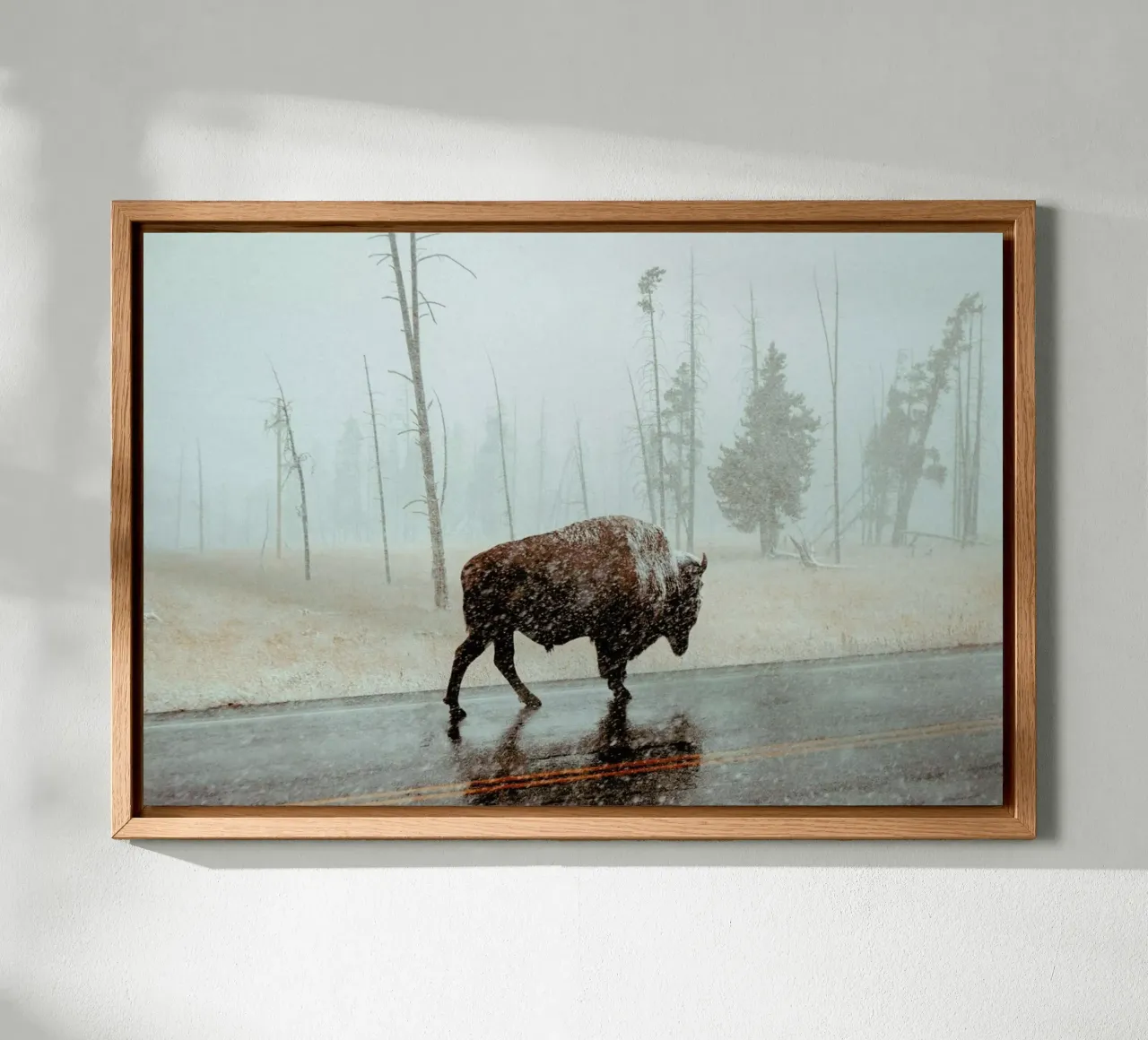 Determination forex plate by EyeEm Mobile GmbH