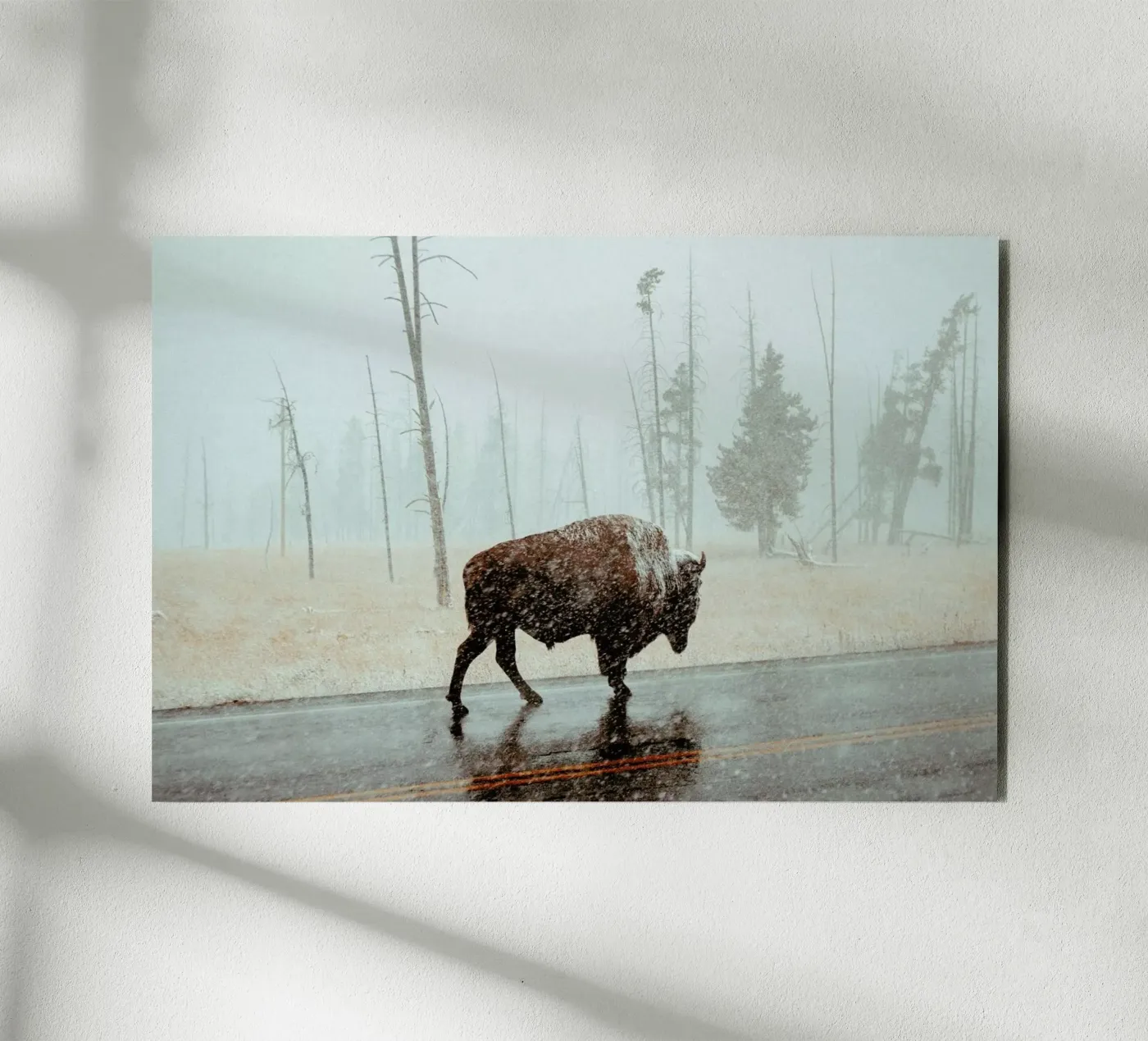 Determination pannello forex da EyeEm Mobile GmbH