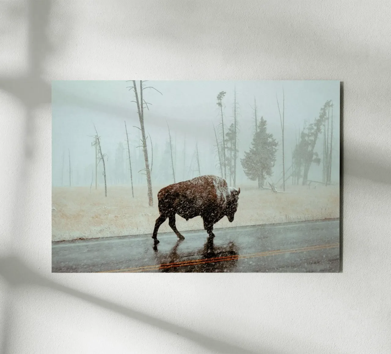 Determination forex plate by EyeEm Mobile GmbH