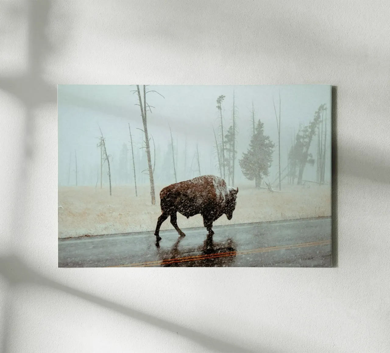 Determination canvas van EyeEm Mobile GmbH