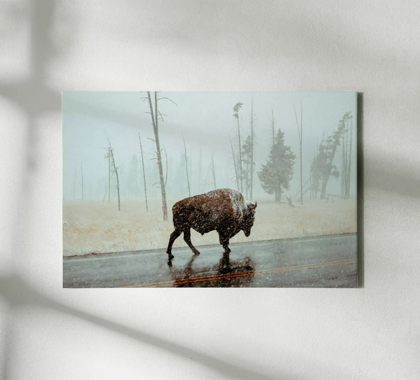 Determination tela da EyeEm Mobile GmbH