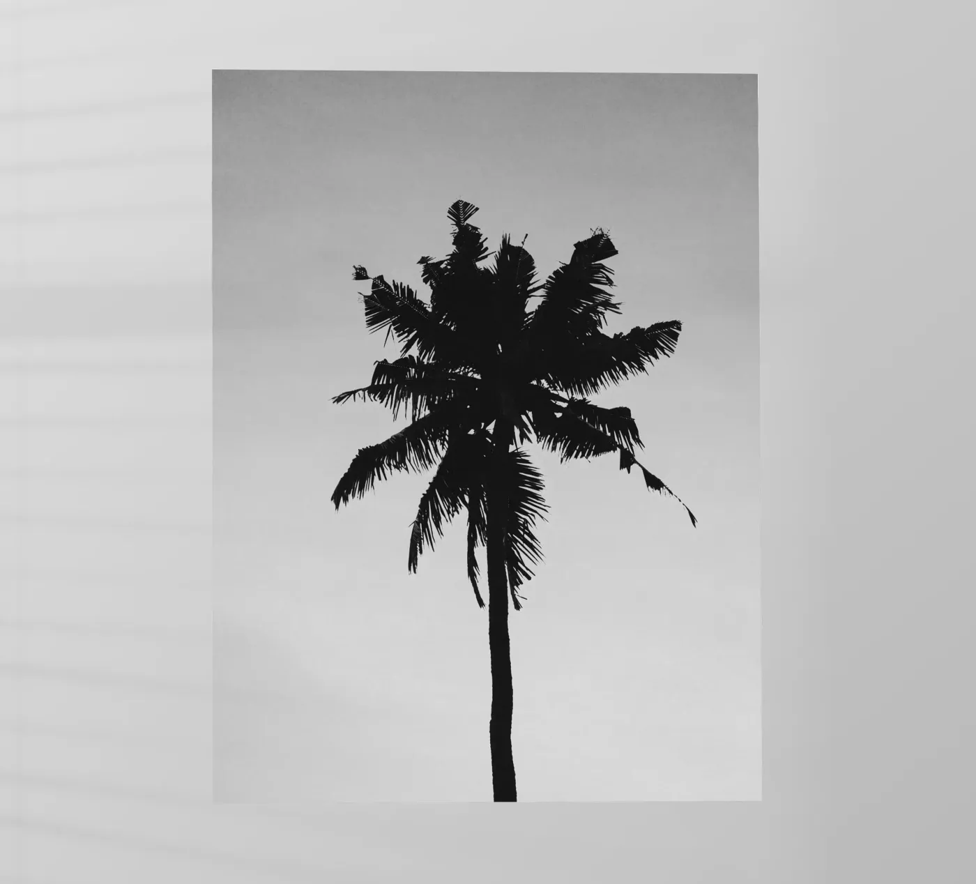 Palm Shape pellicola backlit da treechild