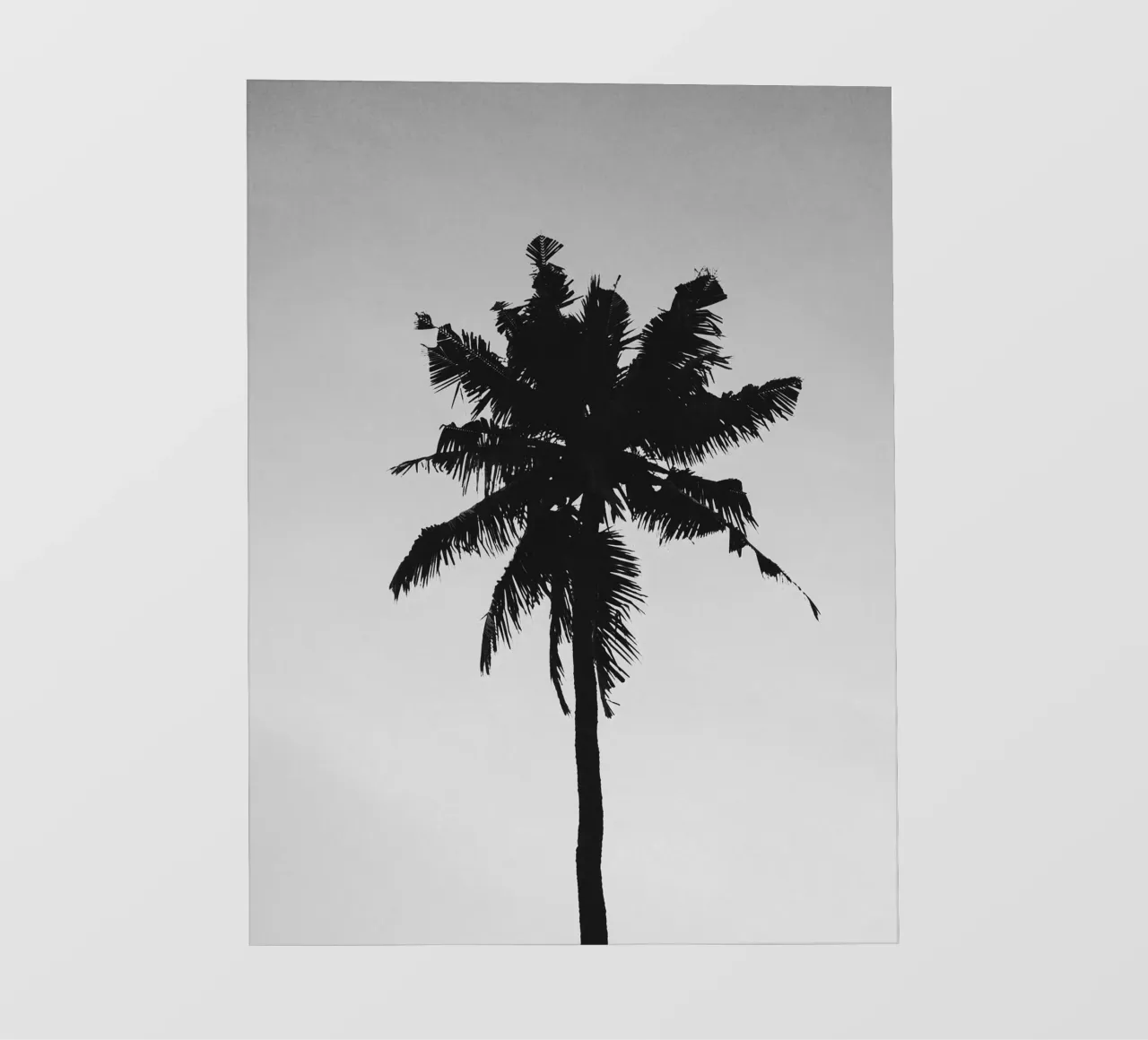 Palm Shape pellicola backlit da treechild