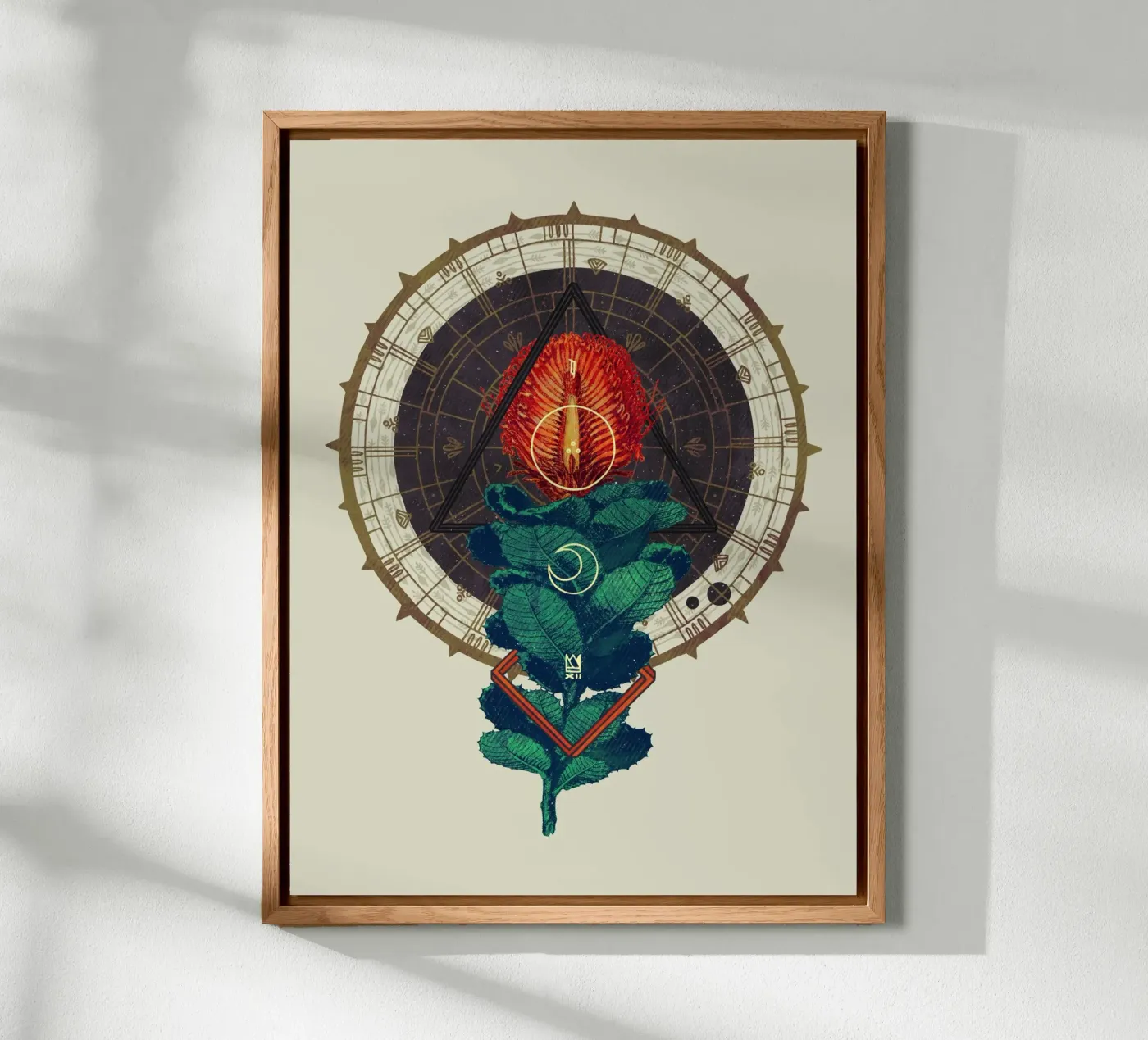 Birth forex plate by againstbound