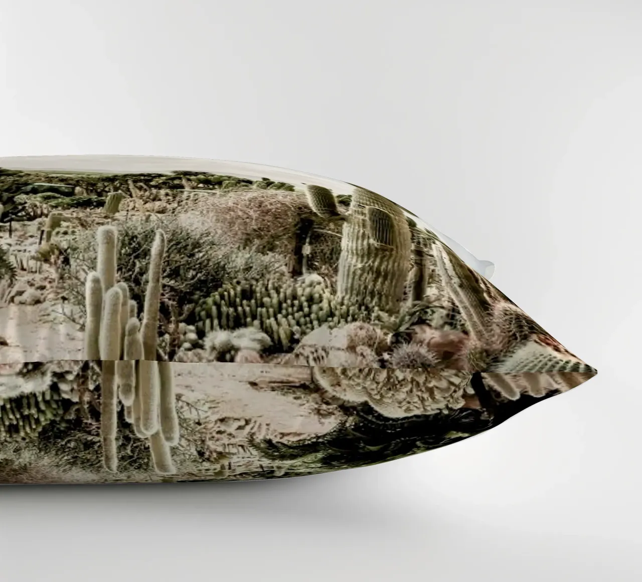Catus Farm decorative cushion by Shot By Clint