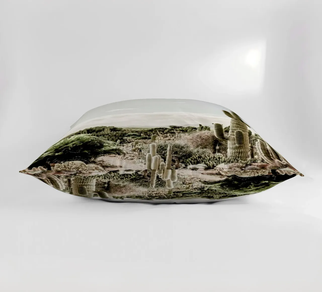 Catus Farm decorative cushion by Shot By Clint