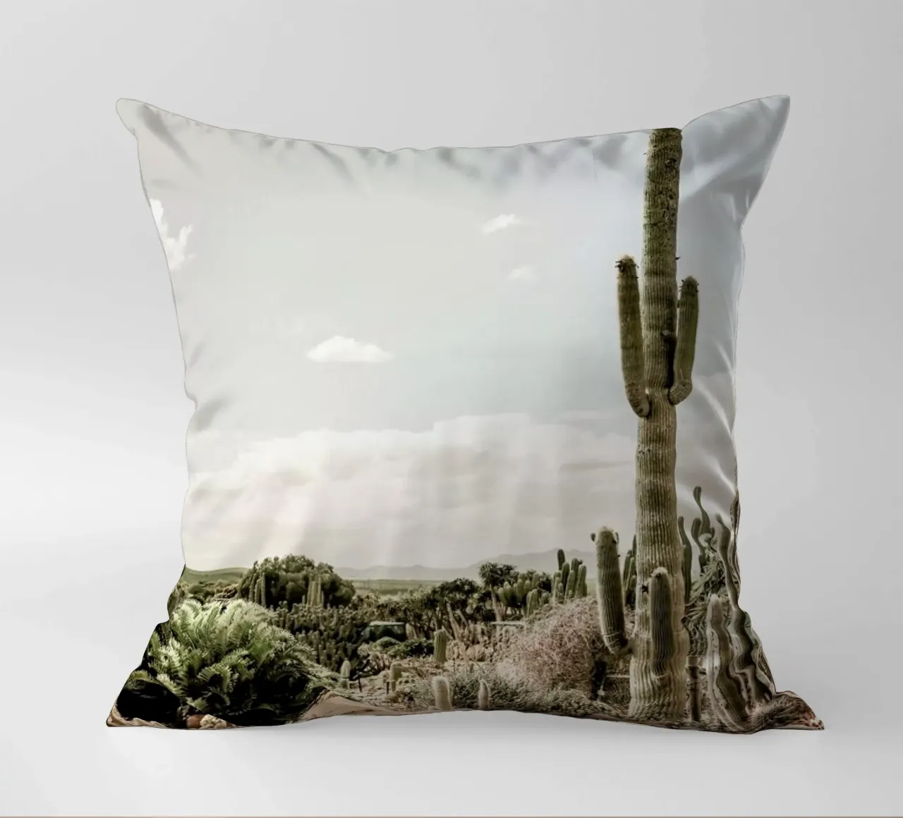 Catus Farm decorative cushion by Shot By Clint