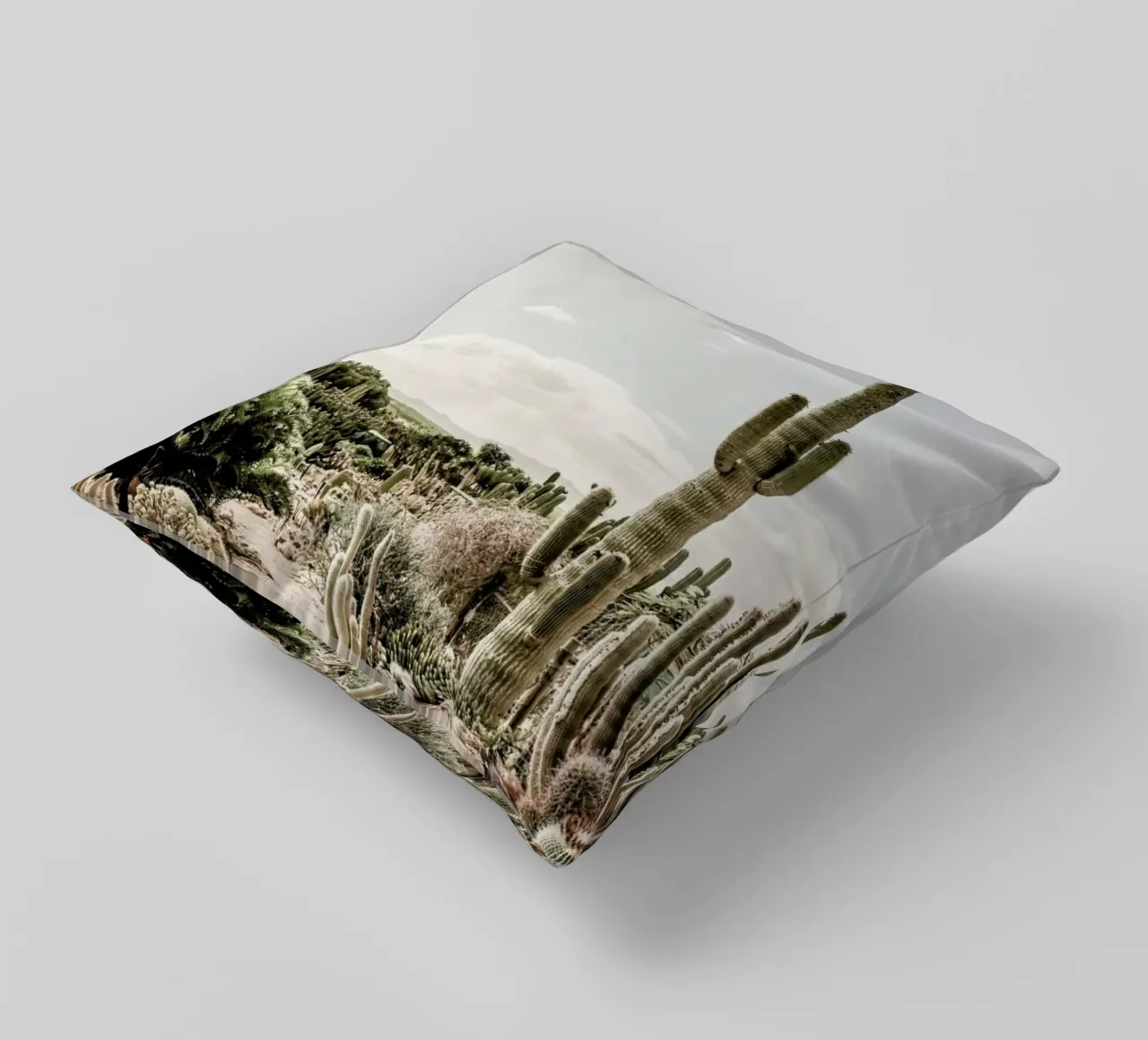 Catus Farm decorative cushion by Shot By Clint