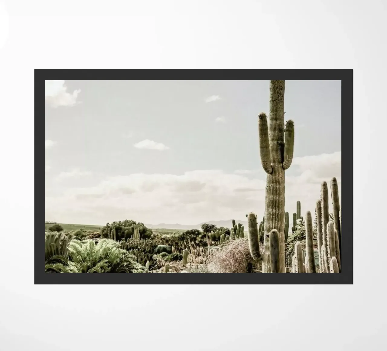 Catus Farm zerbino da Shot By Clint