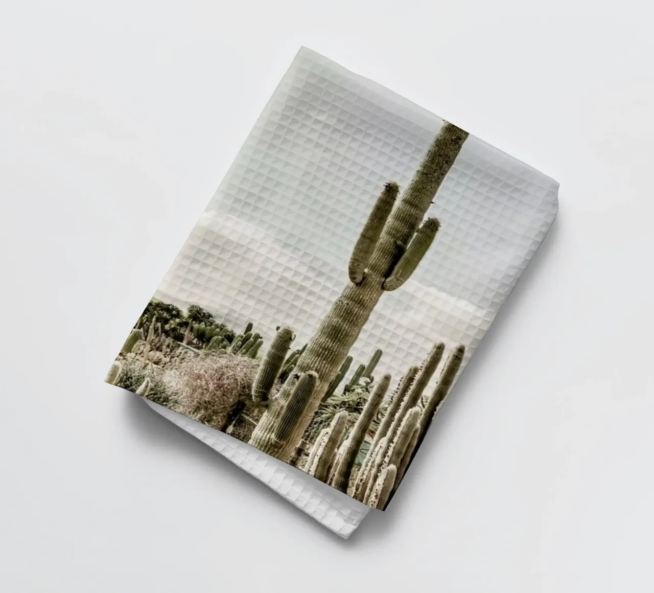 Catus Farm torchon de Shot By Clint