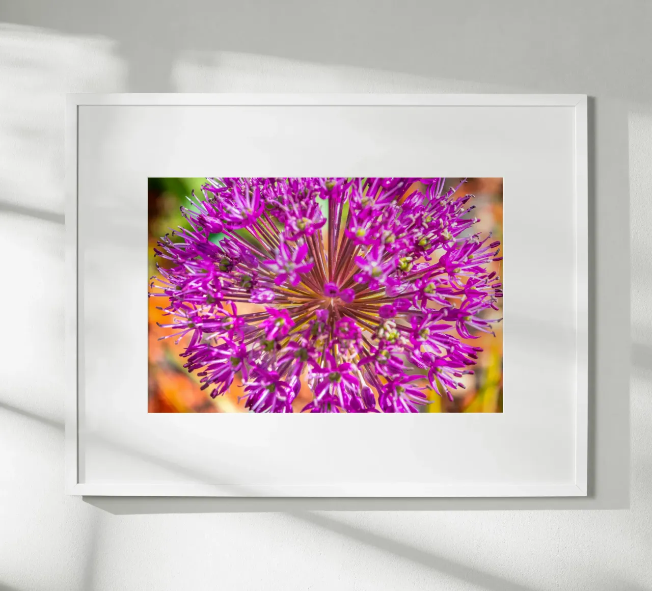 Fiore di porro timpanico poster con telaio in legno da Marcus Beckert | Fotografie