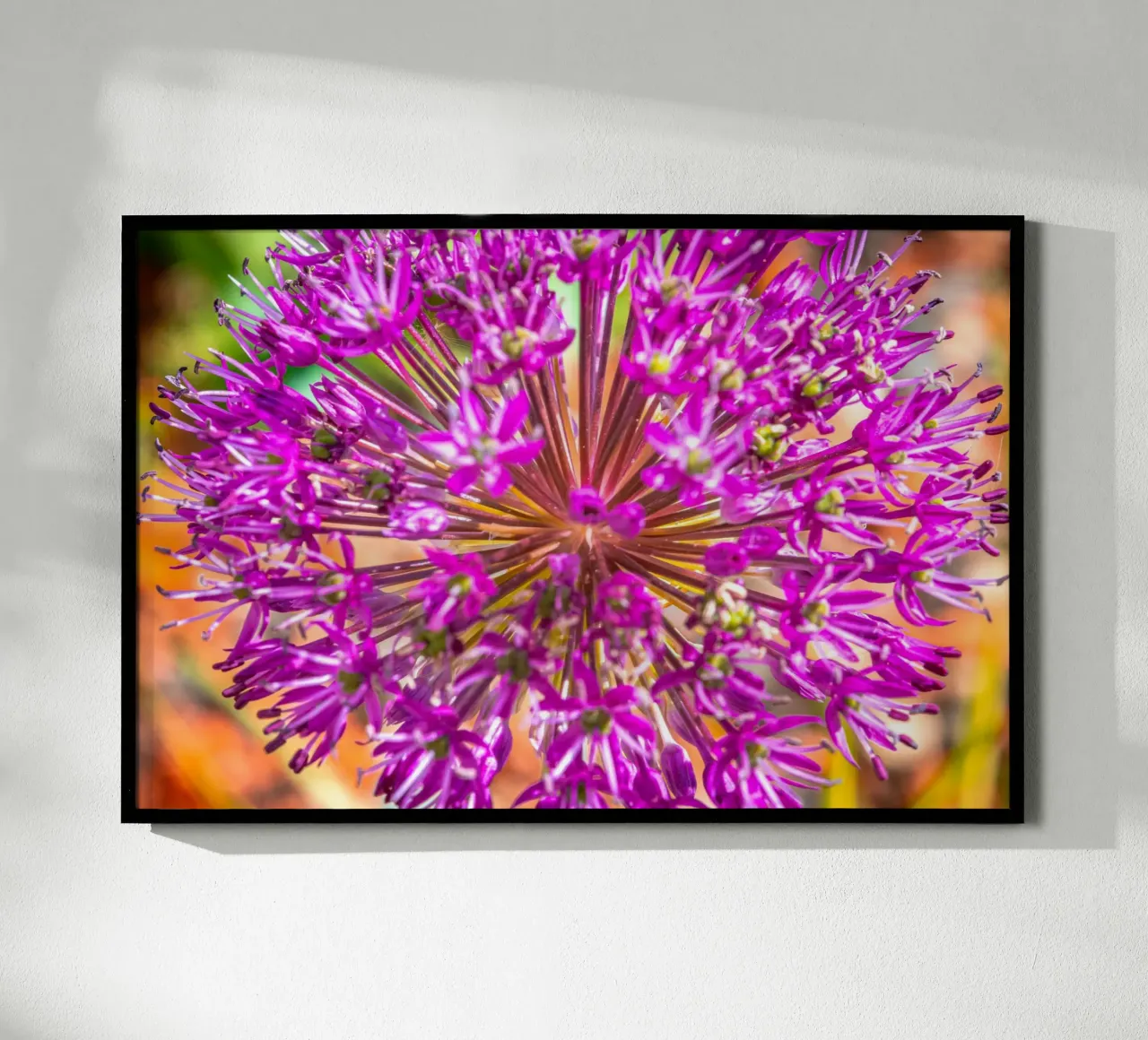 Fiore di porro timpanico poster con telaio in legno da Marcus Beckert | Fotografie