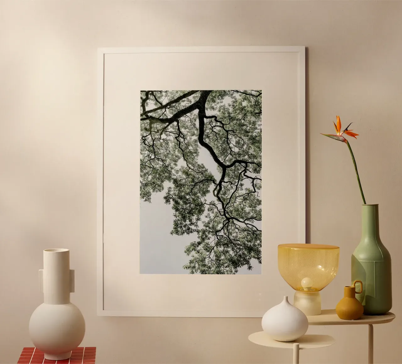 Coastal Forest poster da Shot By Clint