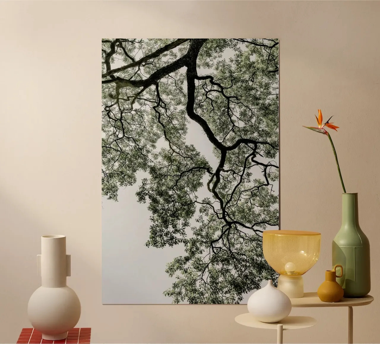 Coastal Forest poster da Shot By Clint