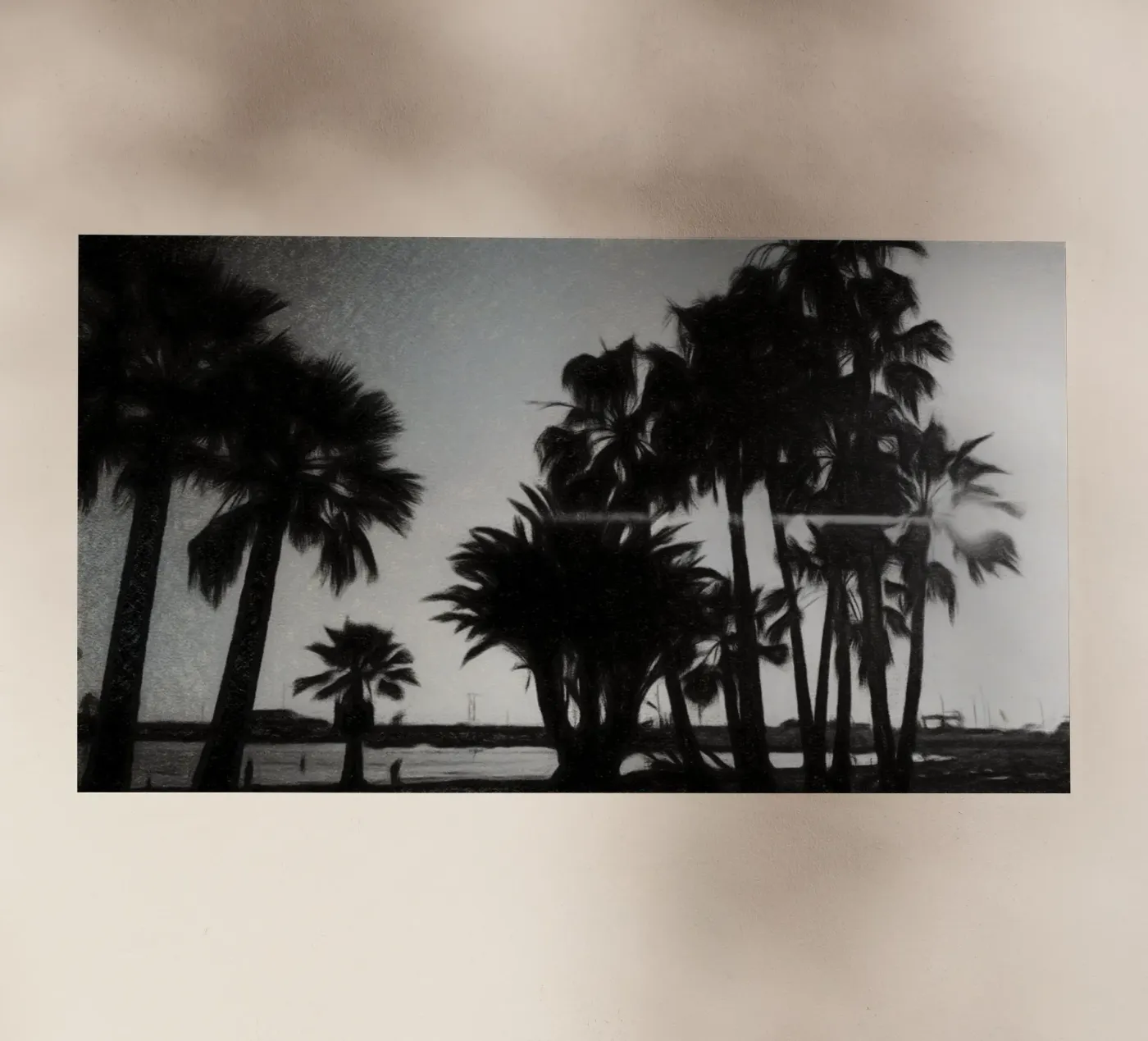 Palme pellicola backlit da Massimo Frascogna