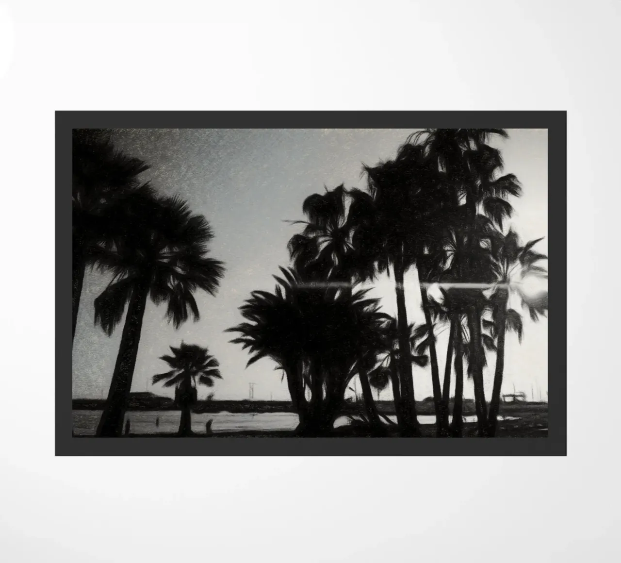 Palme zerbino da Massimo Frascogna