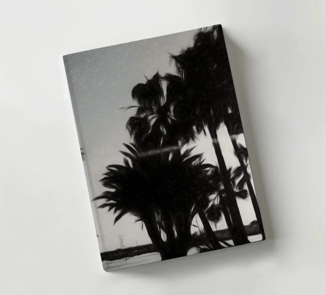 Palme diario da Massimo Frascogna