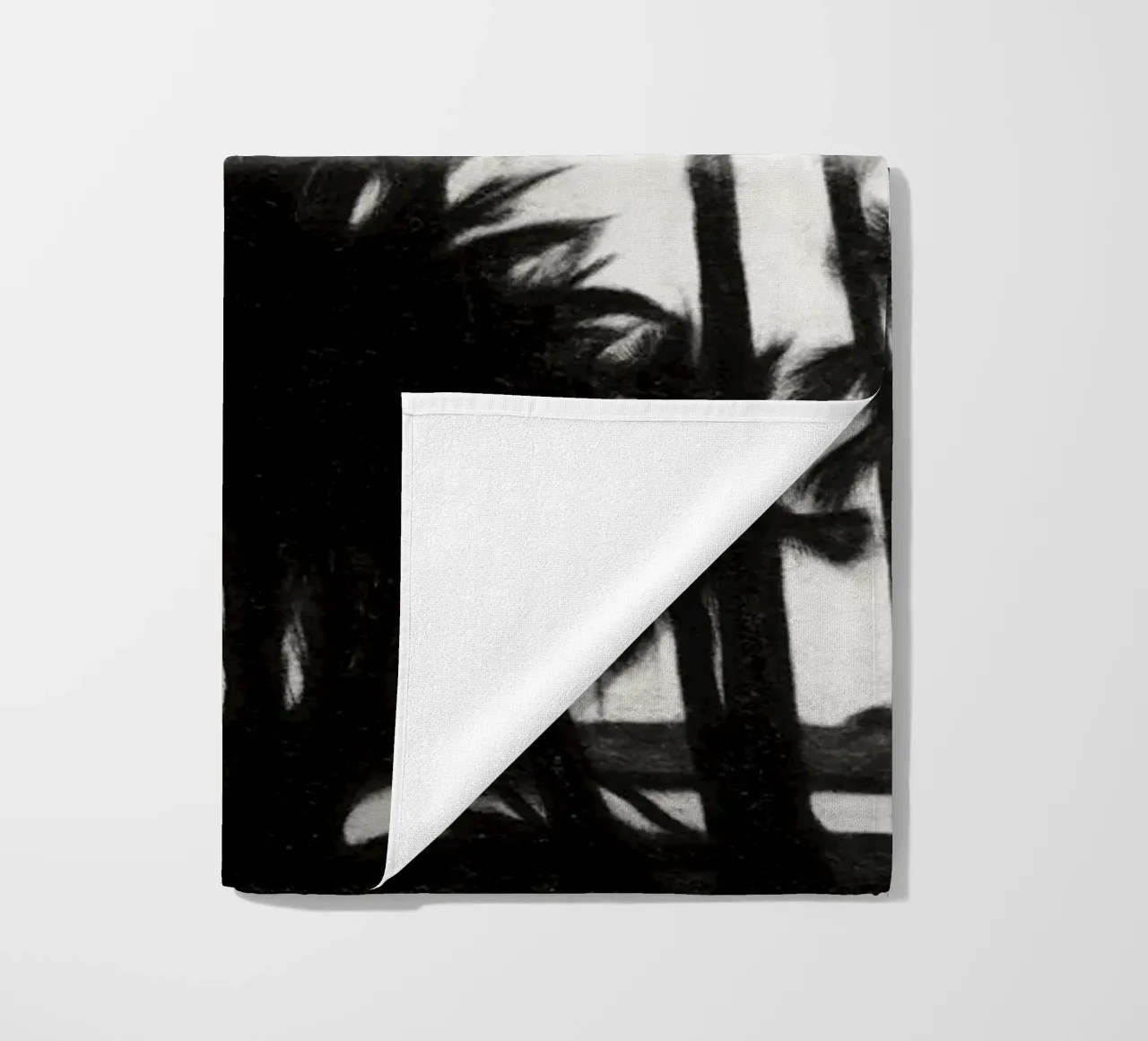 Palme telo mare da Massimo Frascogna