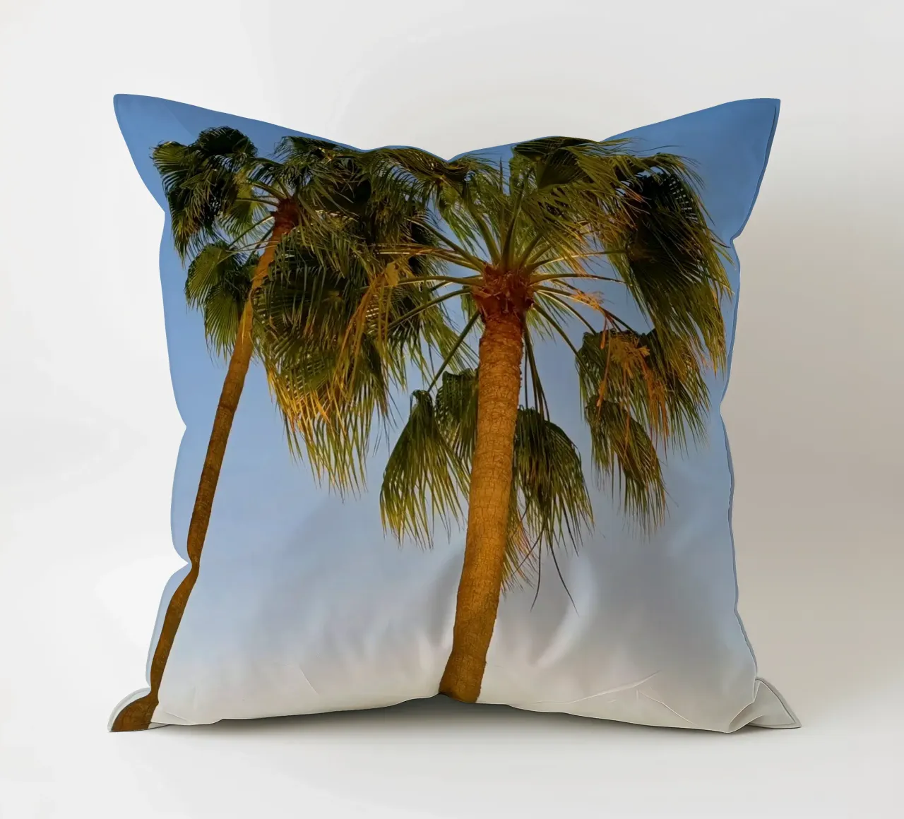 Palme cuscino da Massimo Frascogna