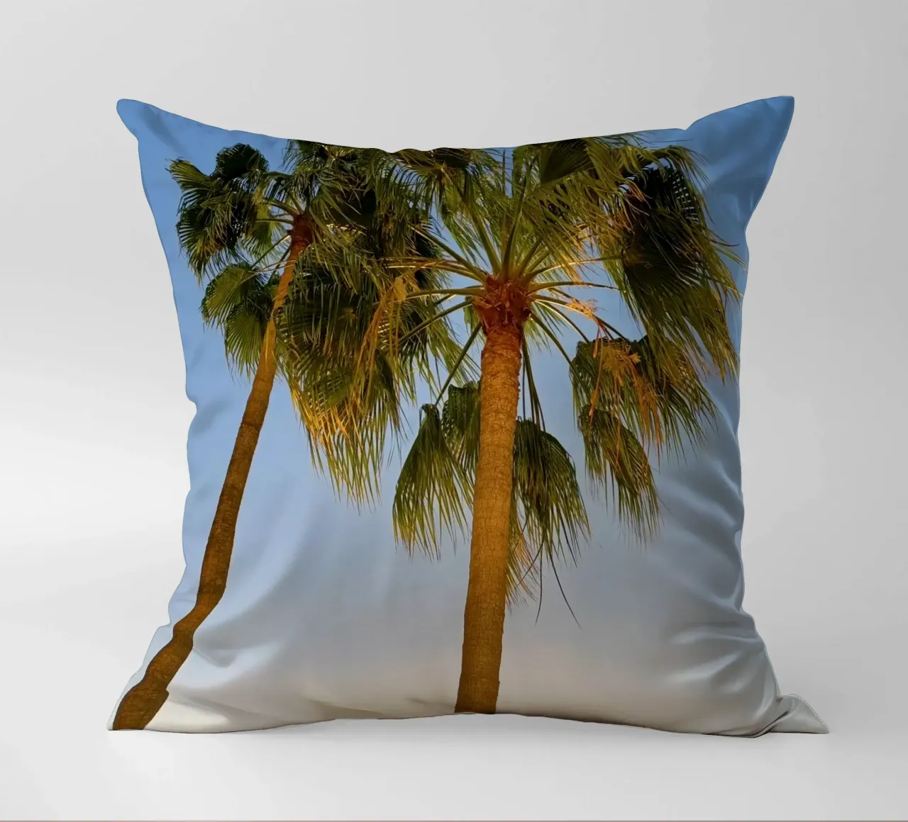 Palme cuscino da Massimo Frascogna