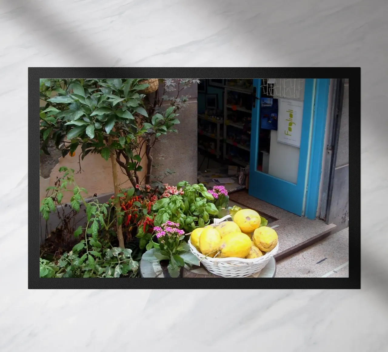 Procida zerbino da Massimo Frascogna