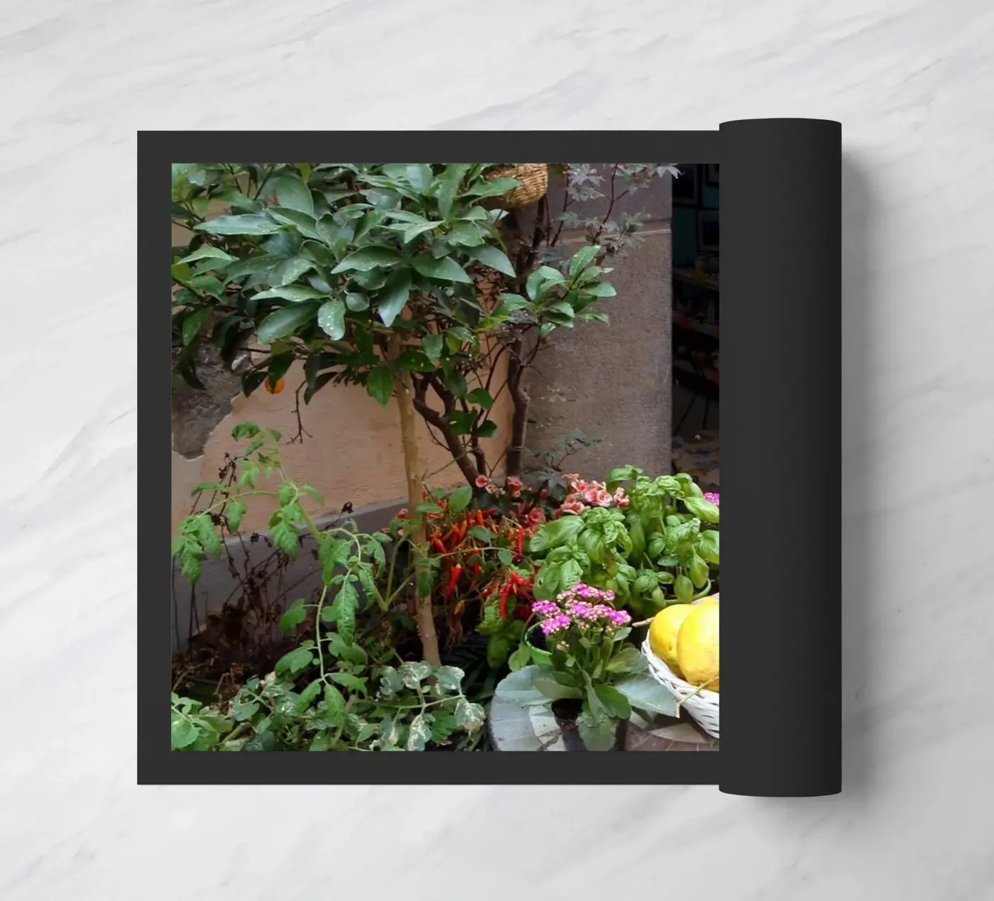 Procida paillasson de Massimo Frascogna