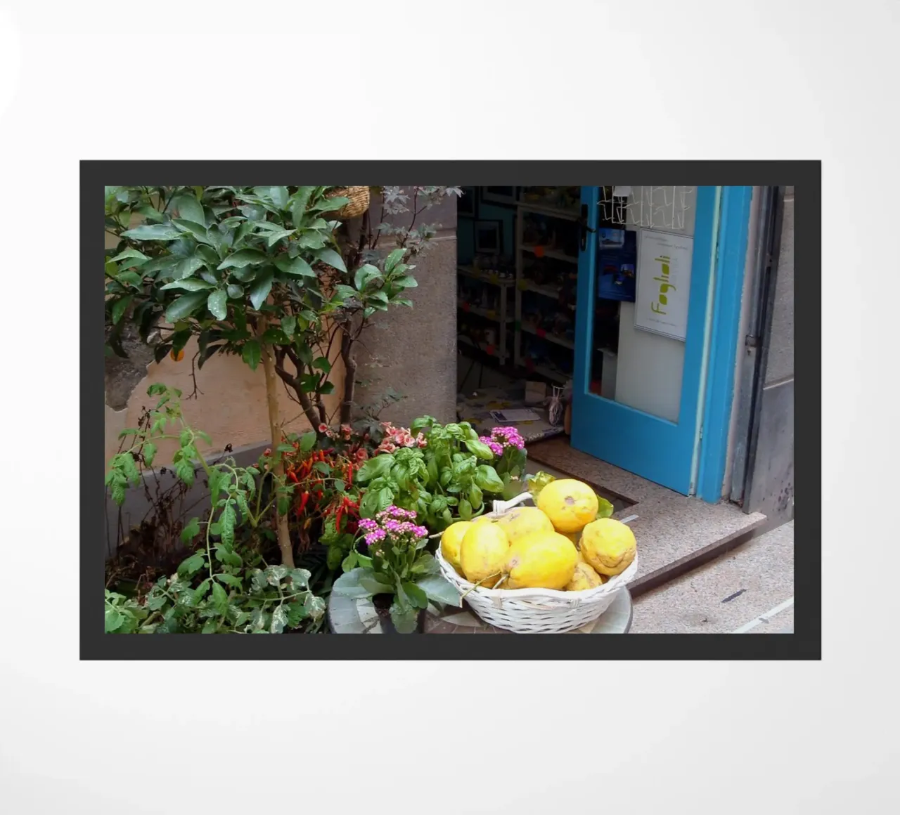 Procida zerbino da Massimo Frascogna