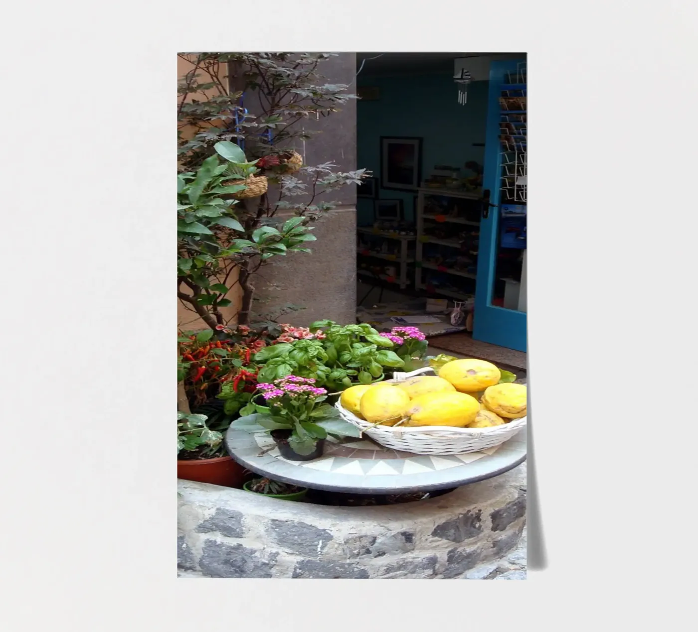 Procida planche autocollant de Massimo Frascogna