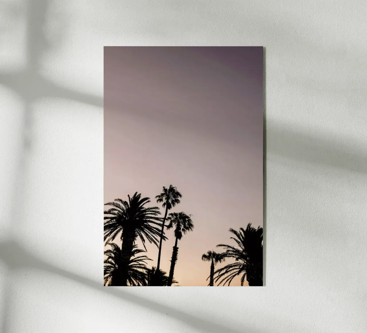 Sea Point plexiglass da Shot By Clint