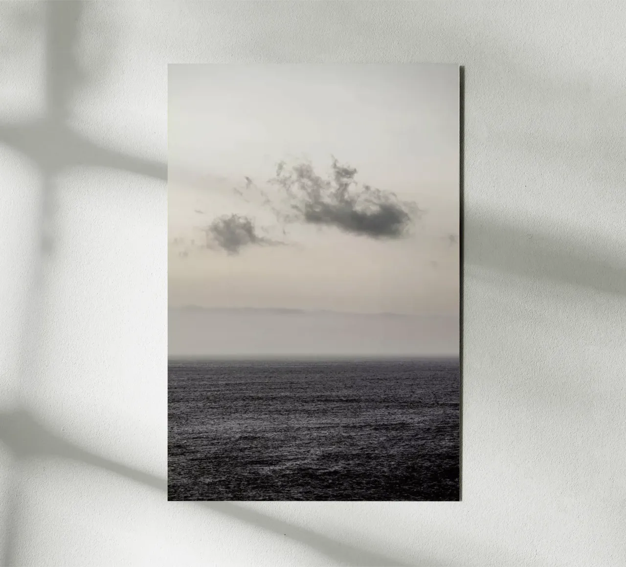 Cloud Play forex plate by Shot By Clint