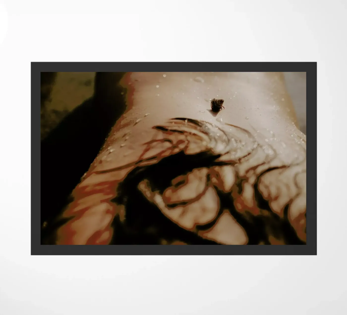 Soft 2 paillasson de Ana Topoleanu