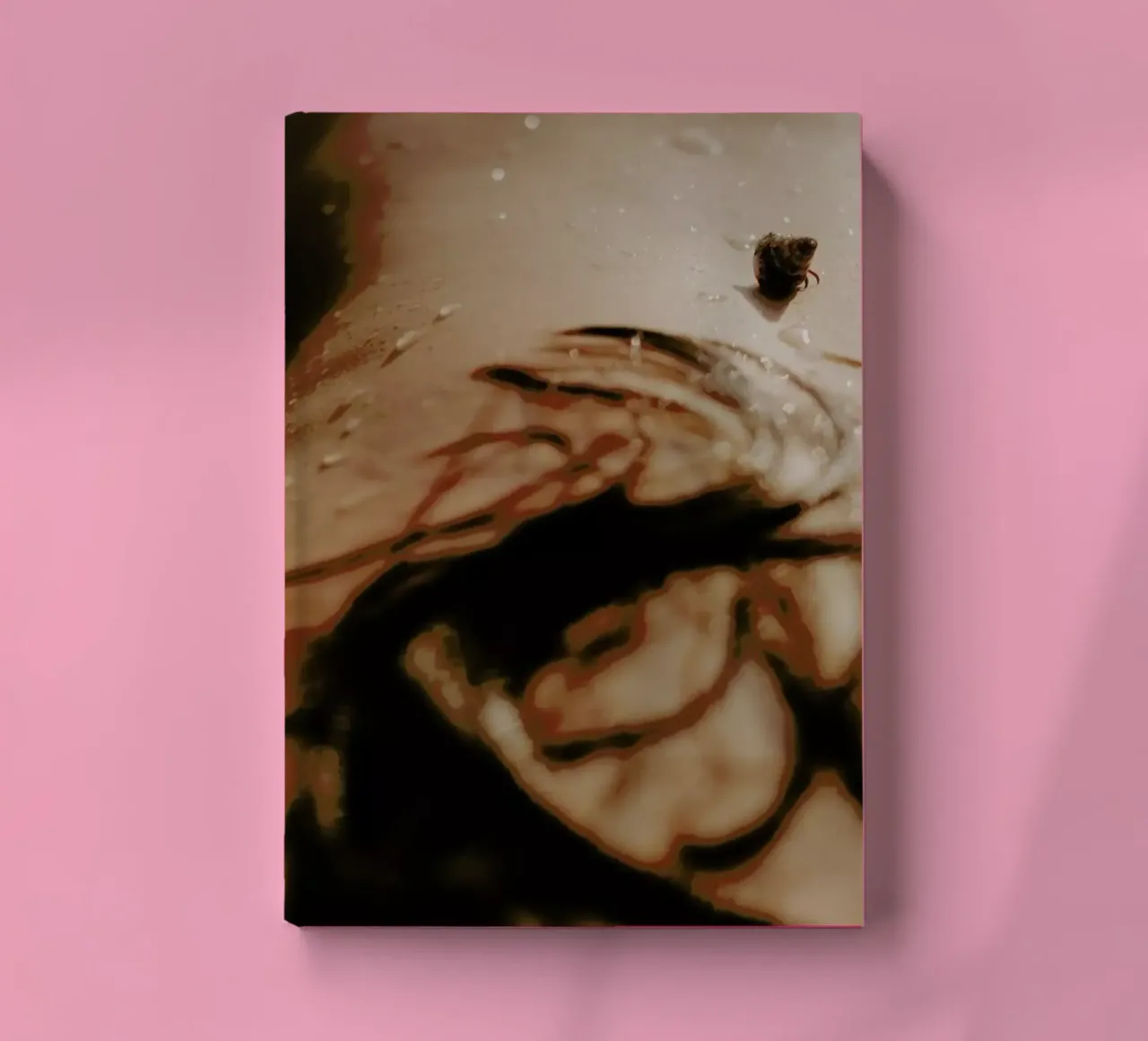 Soft 2 notebook by Ana Topoleanu