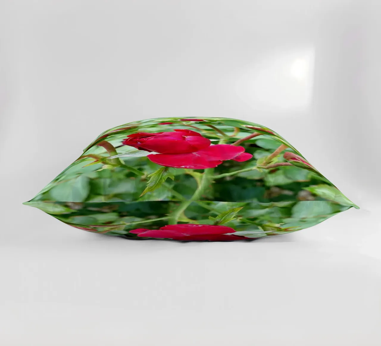 Rosa rossa cuscino da Massimo Frascogna