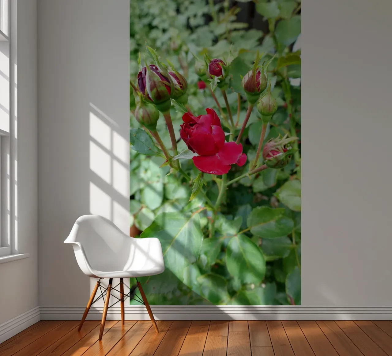 Rote Rose Fototapete von Massimo Frascogna