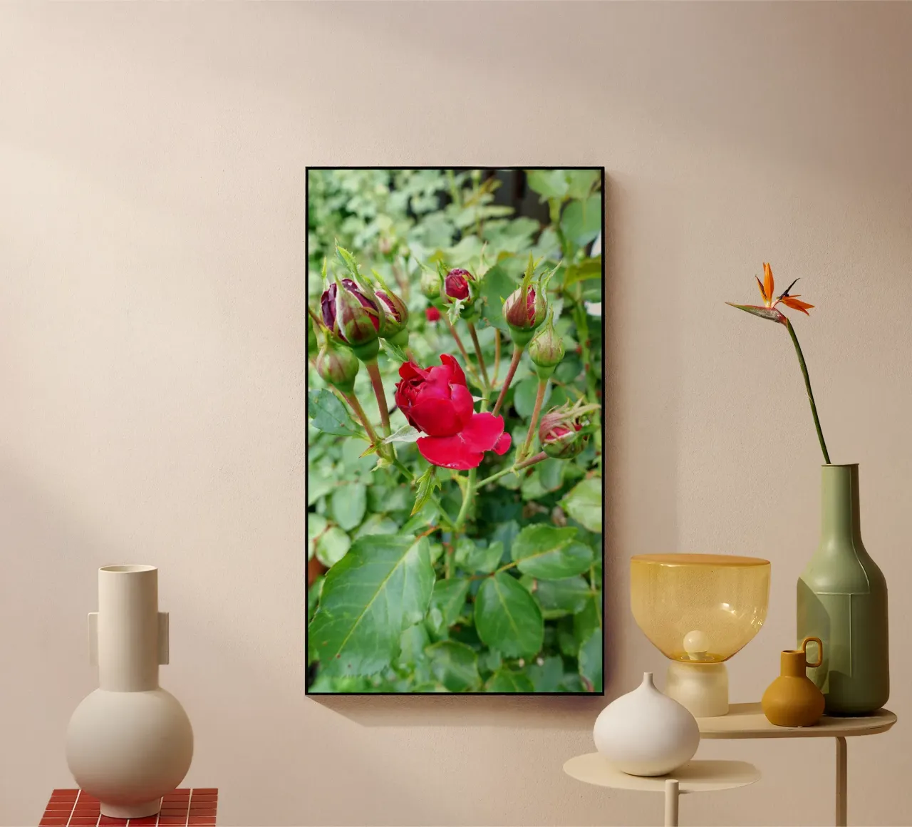 Rosa rossa plexiglass da Massimo Frascogna