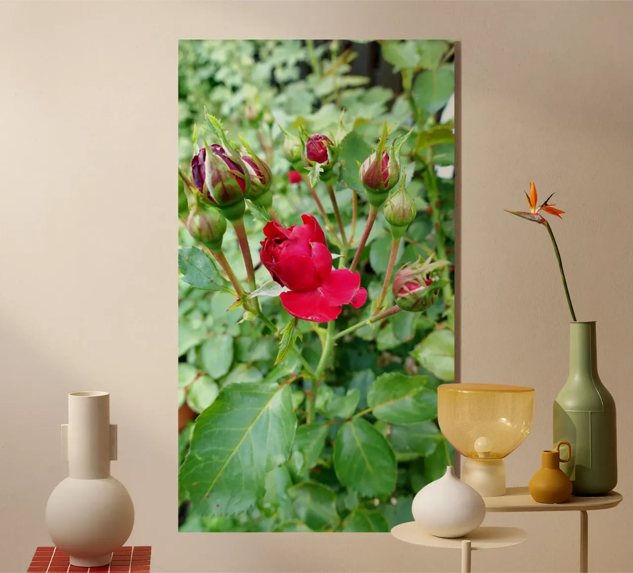 Rosa rossa plexiglass da Massimo Frascogna