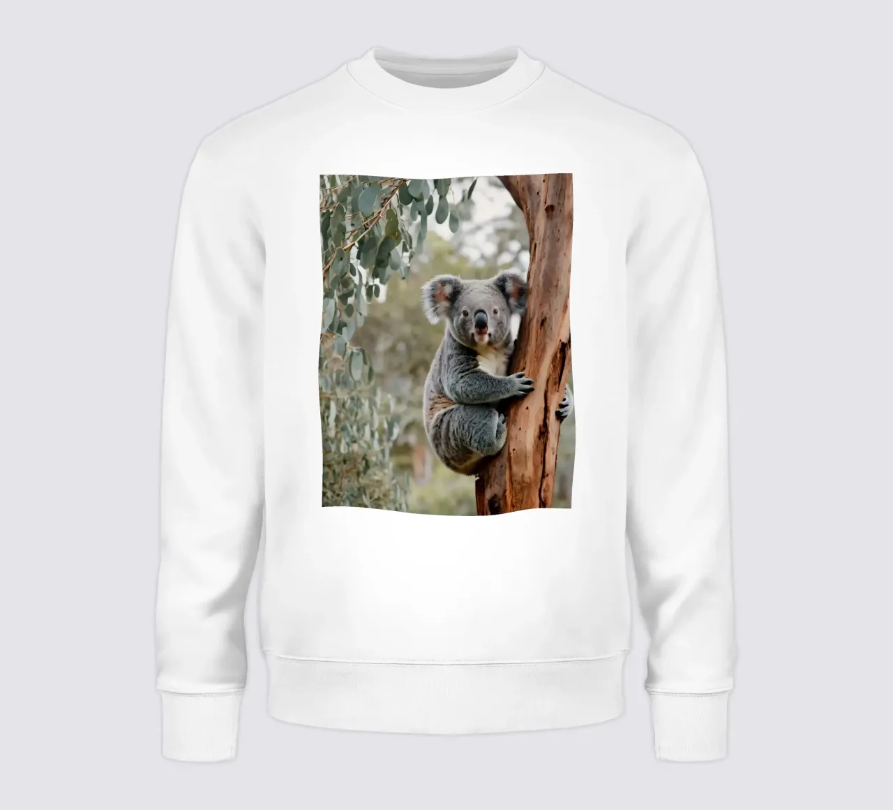 Koala trepando a un eucalipto en su hábitat natural durante sudadera de DesignDoodle